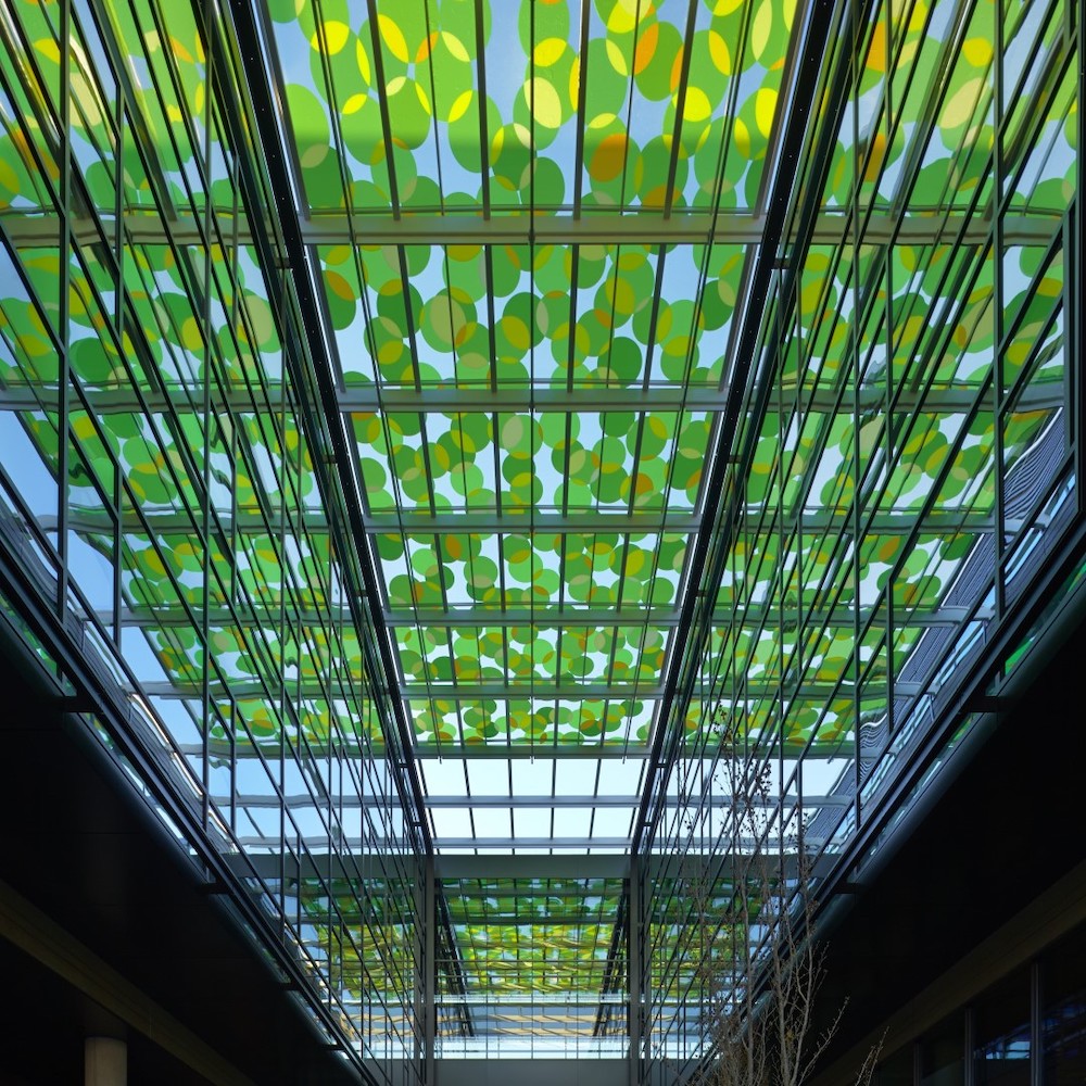 Amazon HQ – Spencer Finch Glass Canopy | Seattle, Washington | Glass Fabricator: Goldray Glass | Photography: Photography courtesy of Goldray Glass